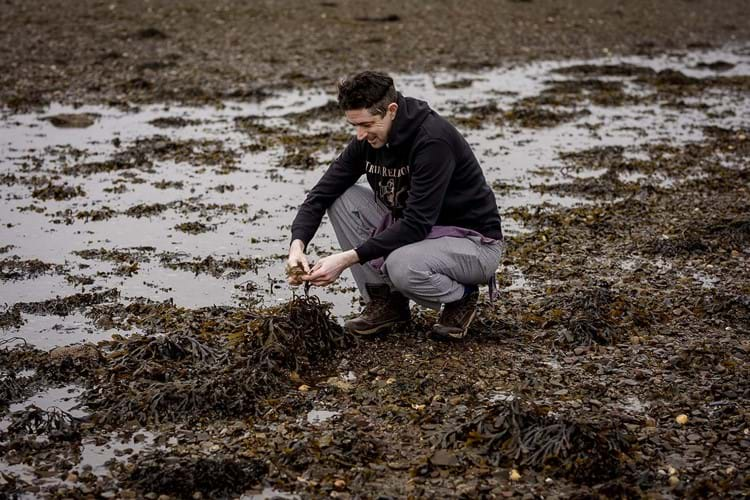 Chef foraging for food on beach