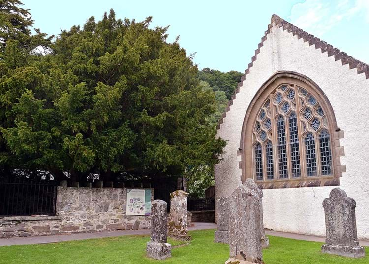 Fortingall Yew Tree