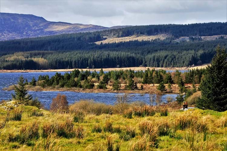 Galloway Forest Park