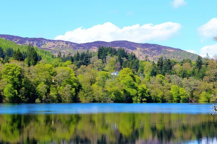 Loch Faskally and Faskally Forest