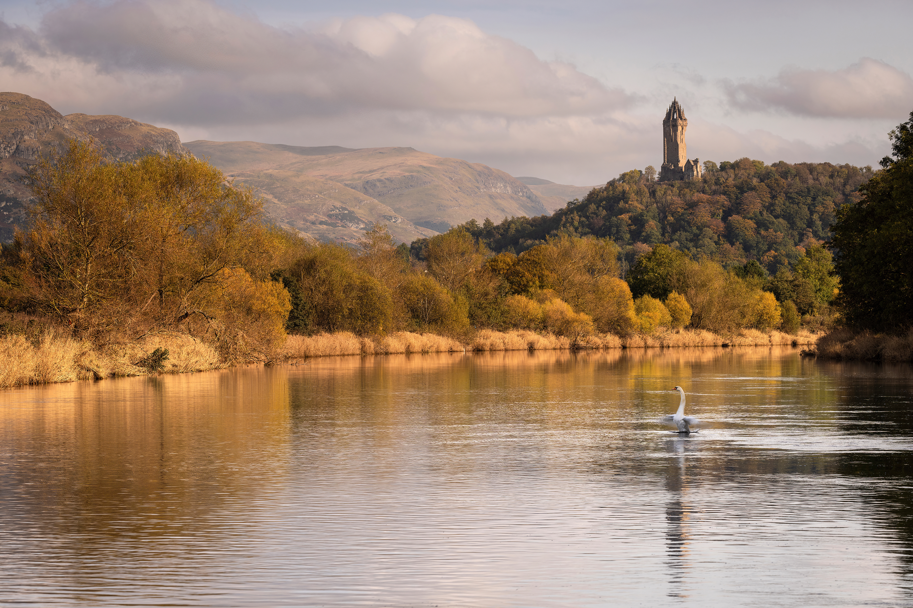 William wallace monument, stirling